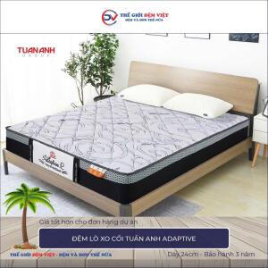 Đệm lò xo cối Tuấn Anh Adaptive-1